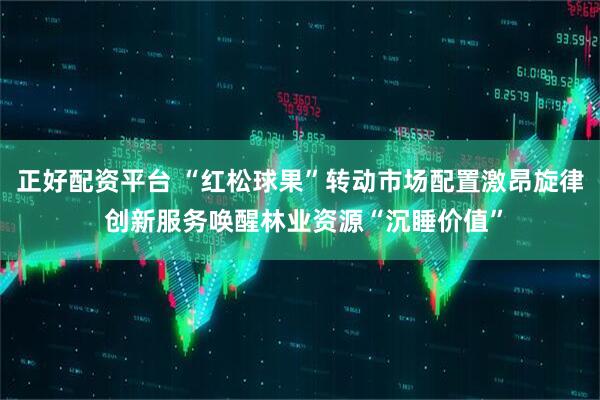 正好配资平台 “红松球果”转动市场配置激昂旋律 创新服务唤醒林业资源“沉睡价值”