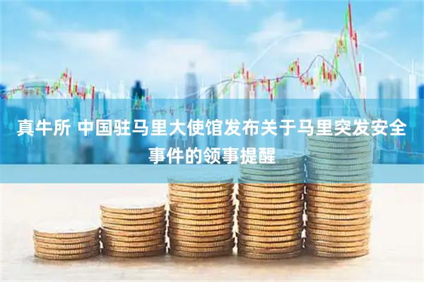 真牛所 中国驻马里大使馆发布关于马里突发安全事件的领事提醒